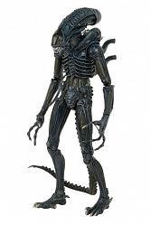 Aliens Actionfigur 1/4 1986 Warrior 56 cm