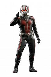 Ant-Man Movie Masterpiece Actionfigur 1/6 Ant-Man 30 cm