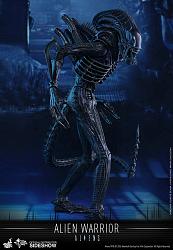 Aliens: Alien Warrior - Sixth scale Figure