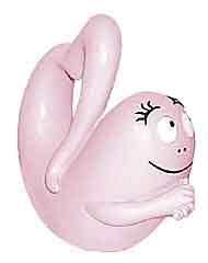 Barbapapa Papa verliebt PVC