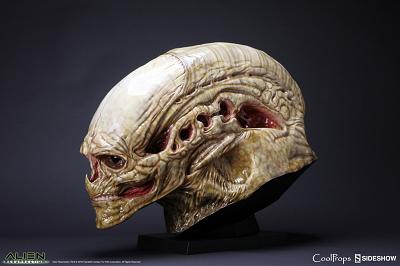 Aliens Resurrection: New Born Alien Life-Size Head