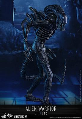 Aliens: Alien Warrior - Sixth scale Figure