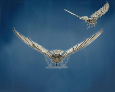 Assassin\'s Creed: Brotherhood: Da Vinci’s Flying Machine