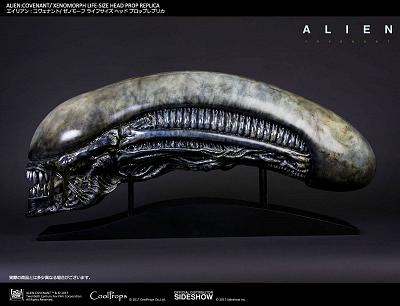 Alien: Covenant Replik 1/1 Xenomorph Kopf 90 cm