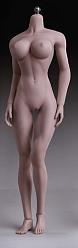 Caucasian Seamless Female Body (Large Bust)